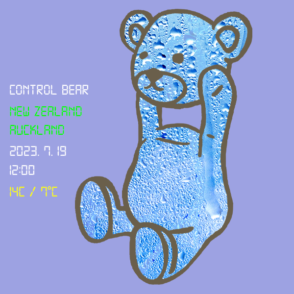 Control bear